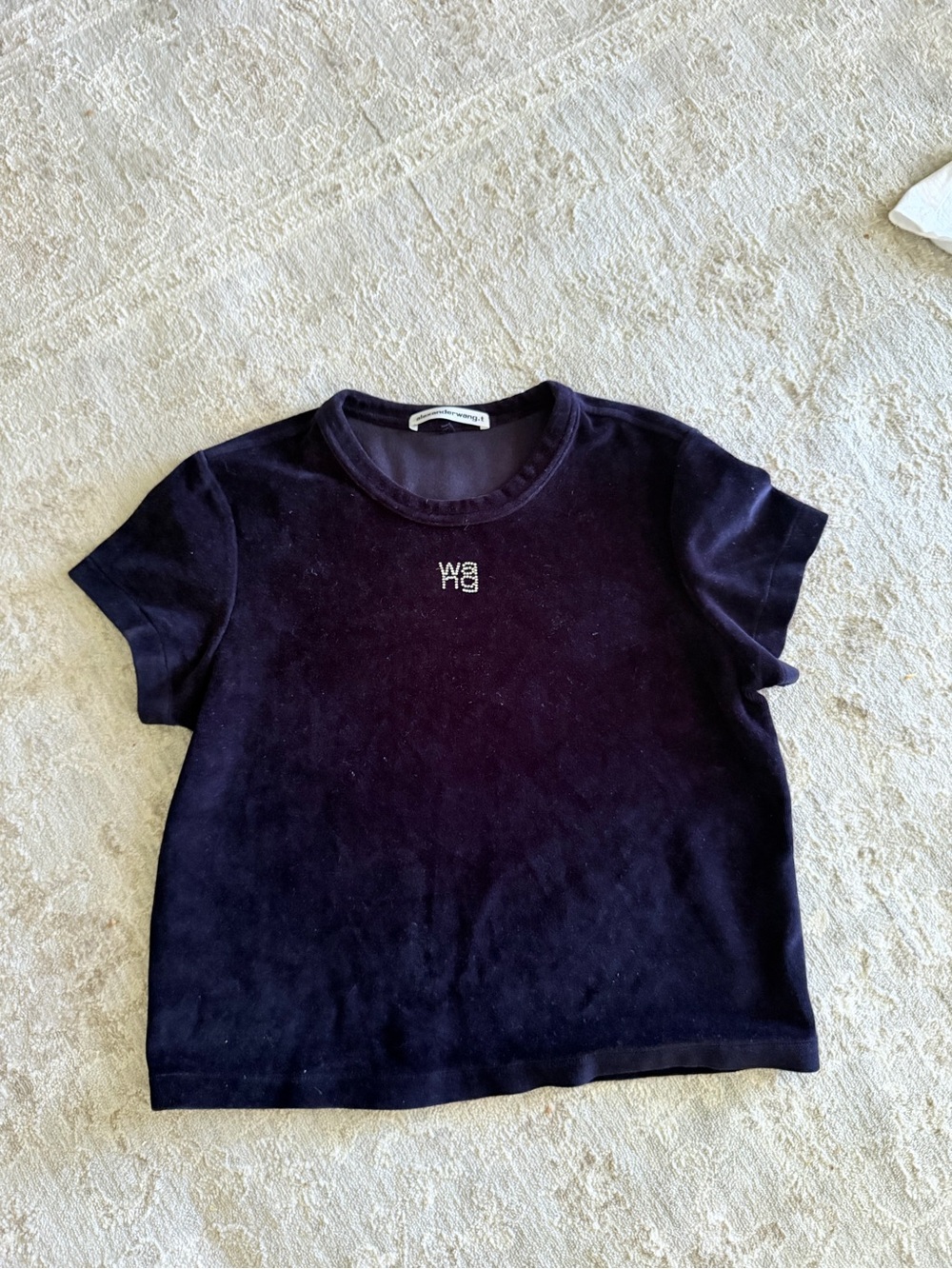 Alexander Wang Blue Velvet Tee